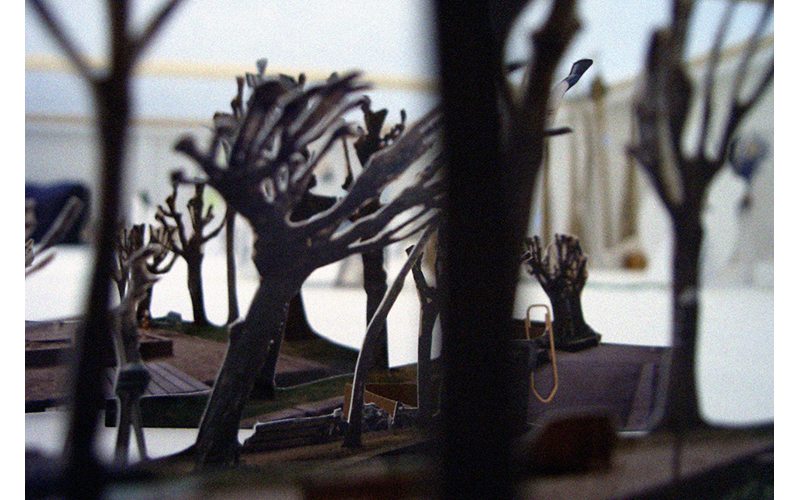 Maattoman ihmisen puutarha