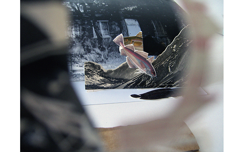 Maattoman ihmisen puutarha